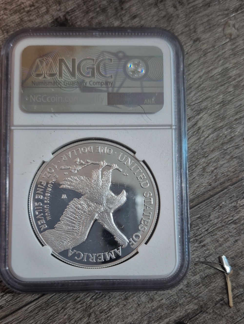 NGC Graded Silver Eagle One Ounce Coin - Silver & White